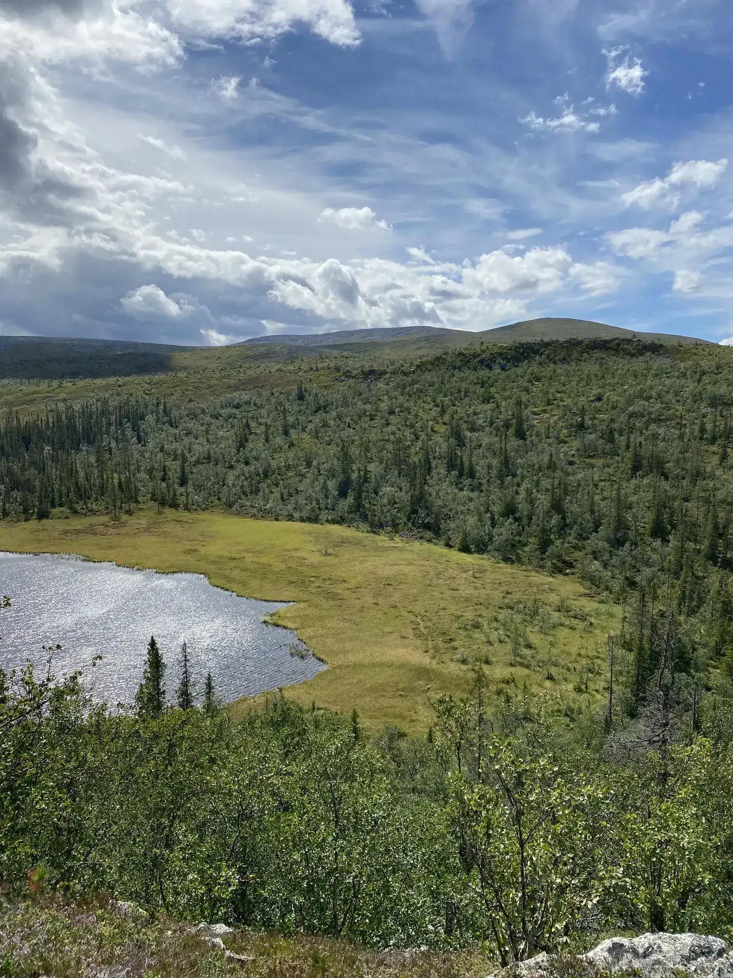Beautiful Swedish fishing landscape